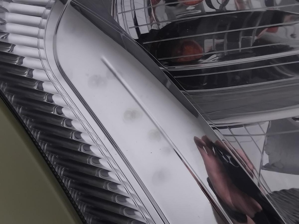 IMG_20260910_085135.jpg