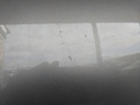 IMG_20260910_131439.jpg