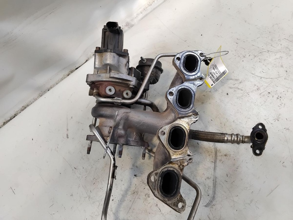 IMG_20260915_110107.jpg