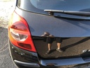 IMG_5581.JPG