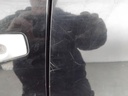 IMG_20260921_101840.jpg