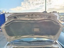 IMG_20261007_092446.jpg