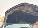 IMG_20261009_083203.jpg