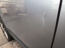 IMG_20261009_083555.jpg