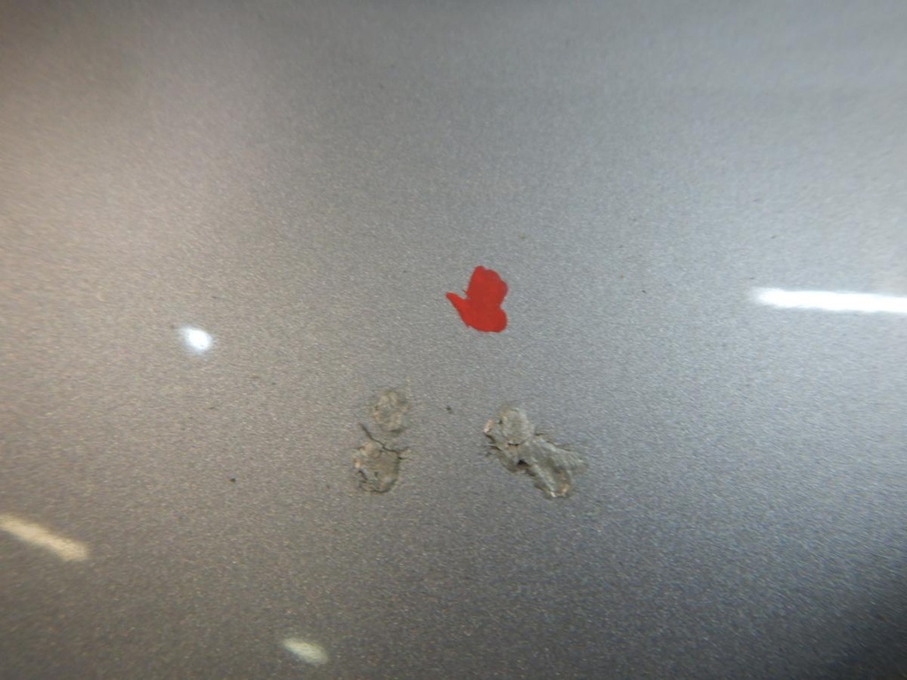 DSCN4893.JPG
