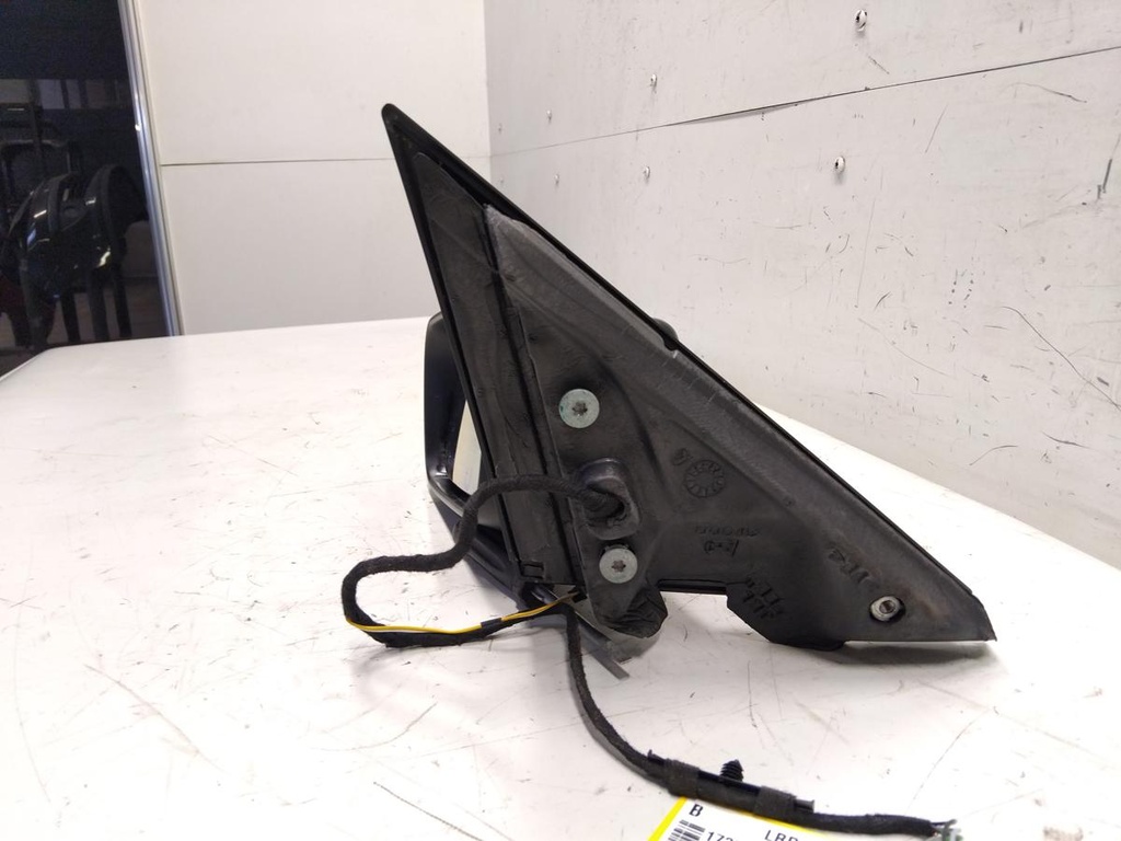 IMG_20261013_114954.jpg