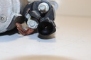 IMG_4290.JPG