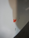 DSCN4940.JPG