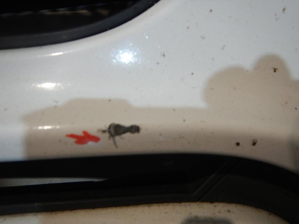 DSCN4953.JPG