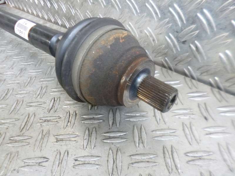 P1250242.JPG