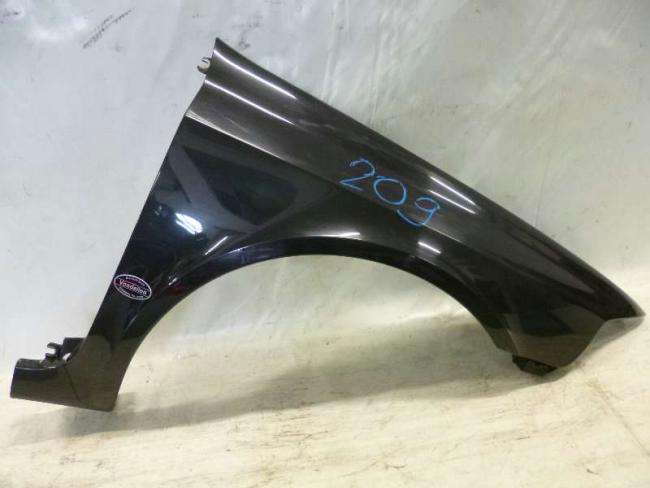 2397429.JPG
