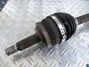 037.JPG