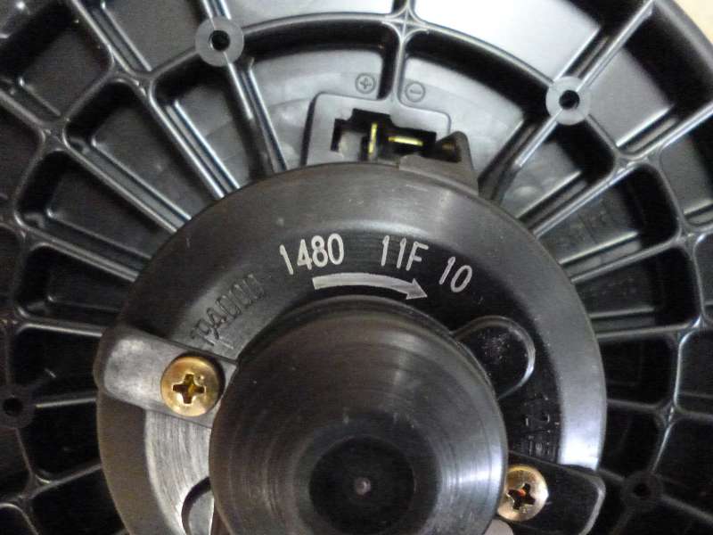 P1050137.JPG