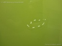 1000679541006_20170617115922.jpg