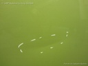 1000679541006_20170617115912.jpg