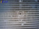 1000709481006_20130220171042.jpg