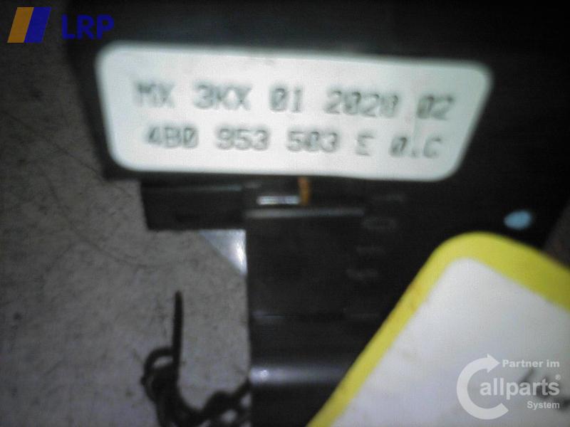 1000883721006_20090204115954.jpg