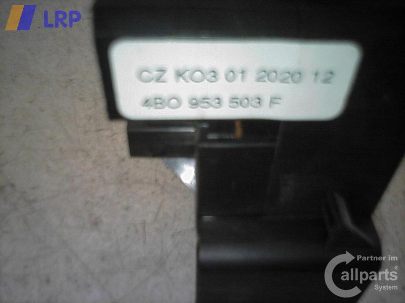 1000587621006_20090203135237.jpg