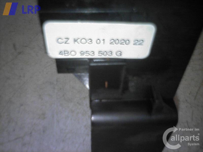1001381991006_20090129152445.jpg