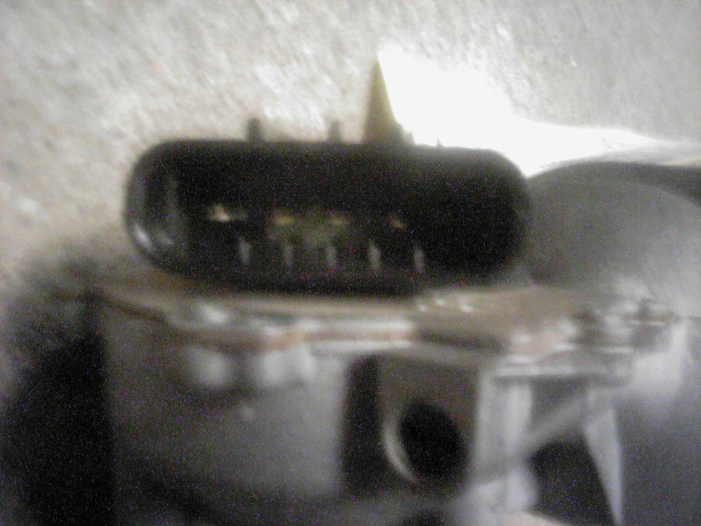 1001593181006_20070814104345.jpg