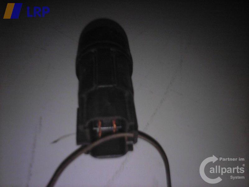 1002013561006_20090407174544.jpg