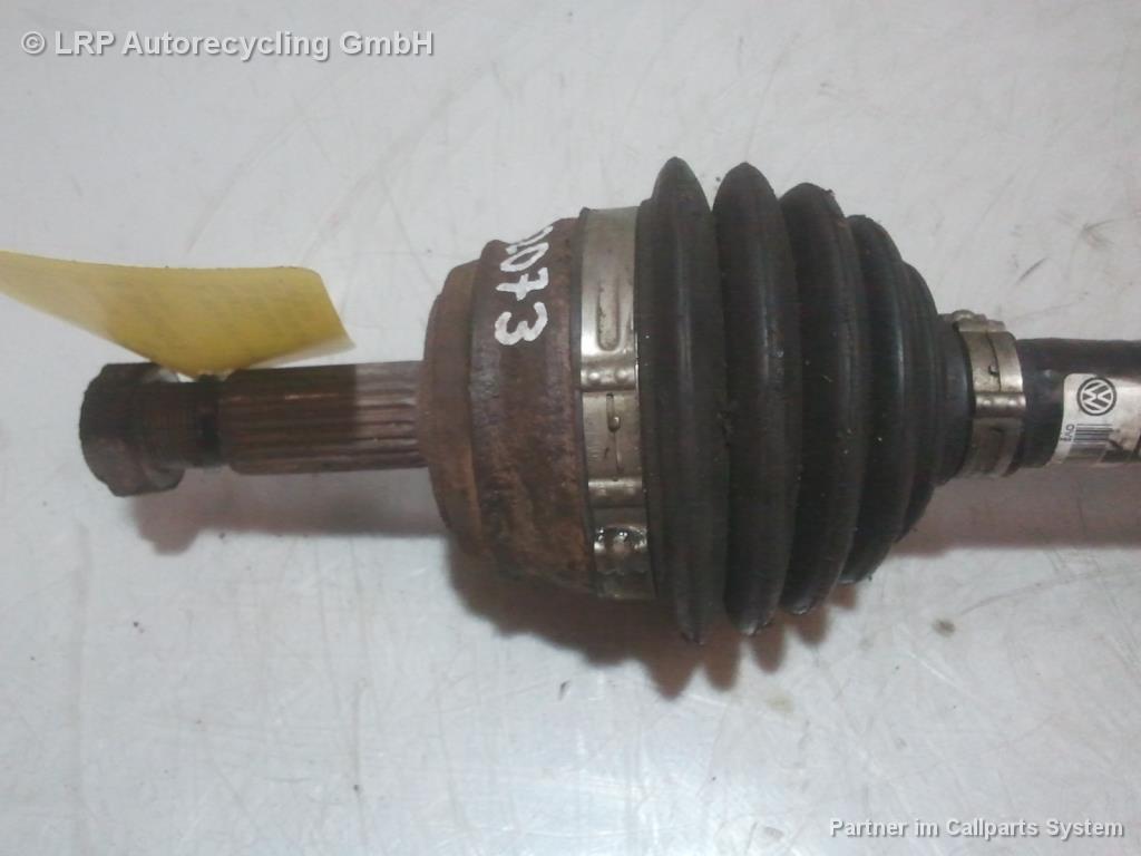 1003420731006_20160315164806.jpg