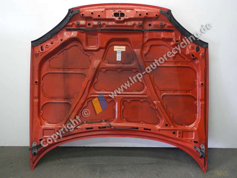DSCN0804 (2).JPG