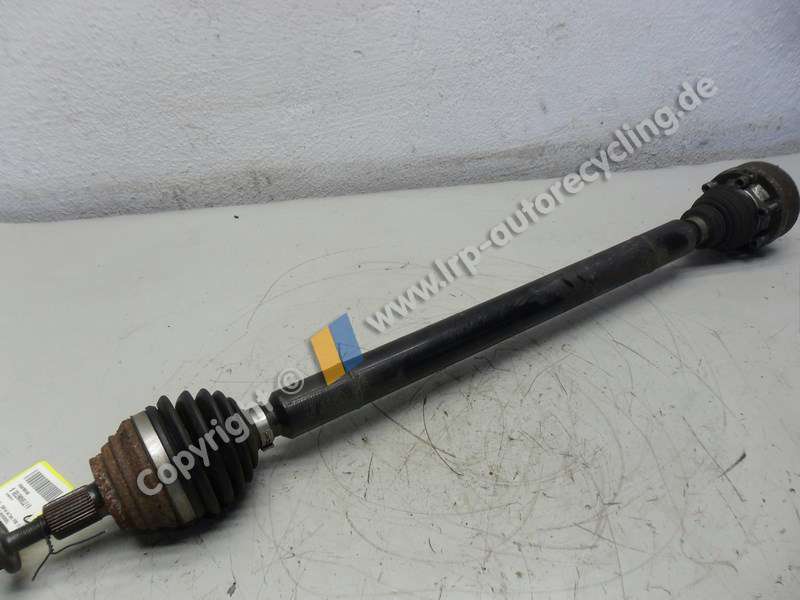 SAM_8595 (2).JPG
