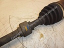 SAM_8100 (2).JPG