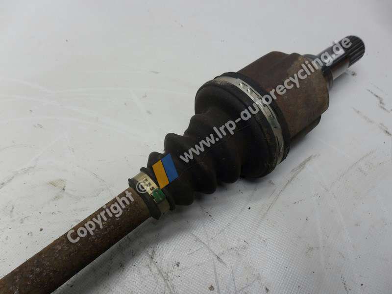 SAM_7342 (2).JPG