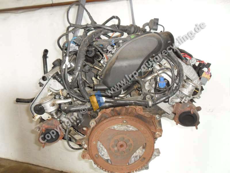 SAM_4414.JPG