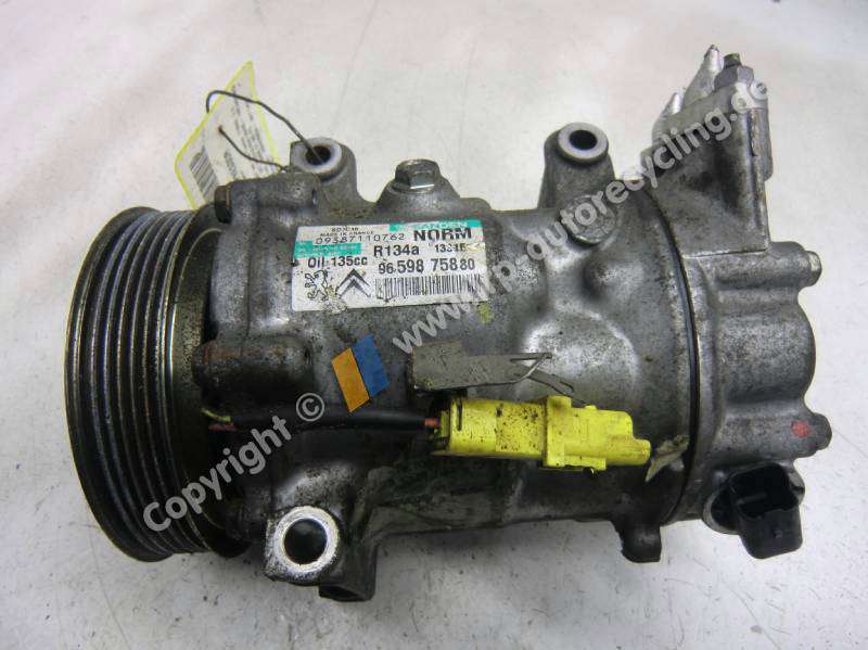 CIMG8270 (2).JPG