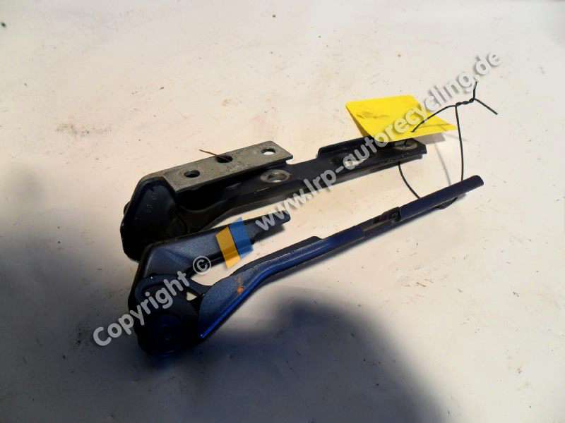 SAM_1965 (2).JPG