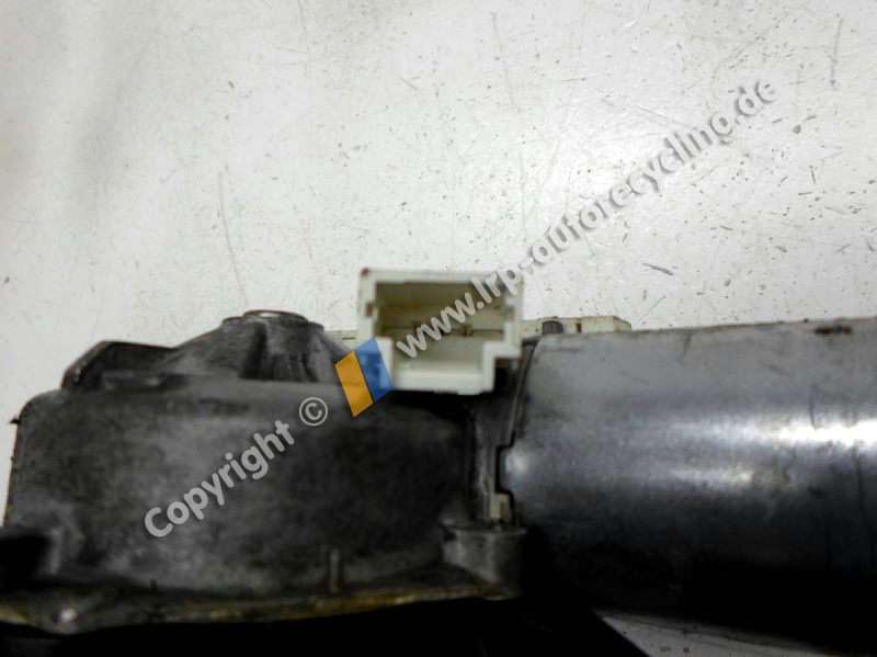 SAM_1985 (2).JPG