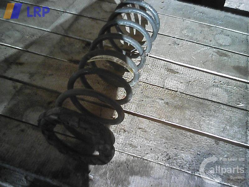 1003101521006_20121126113651.jpg