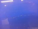 1004074711006_20160923092921.jpg