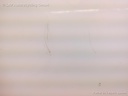 1004021681006_20160714103002.jpg