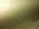 1003899301006_20160115162322.jpg