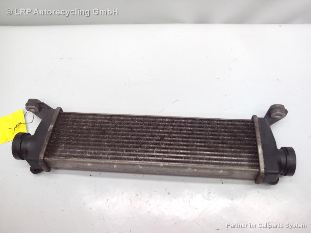 1003854581006_20151104171150.jpg