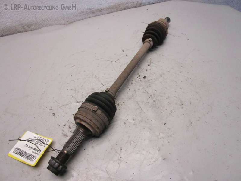 IMG_0275 (2).JPG