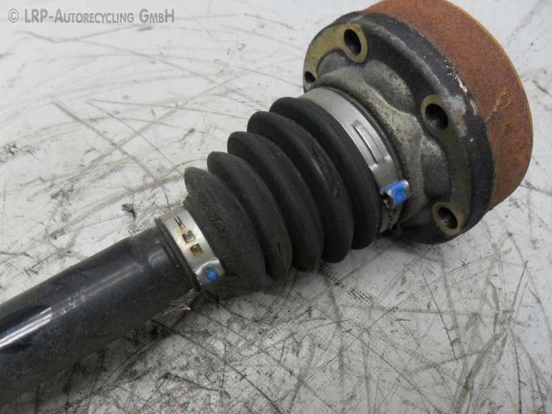 SAM_5876 (2).JPG