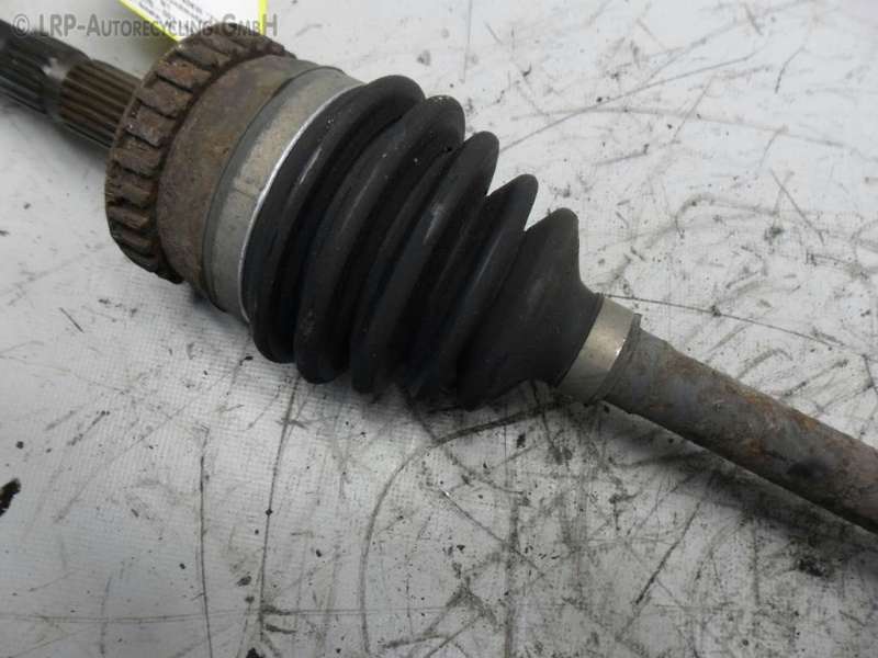 SAM_5417.JPG