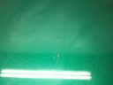 1004727821006_20181017121653.jpg