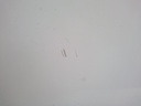 1004552641006_20180320133010.jpg