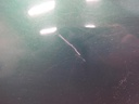 1004485421006_20171212135731.jpg