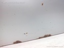 1004379541006_20170803085613.jpg