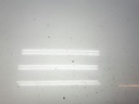 1005068681006_20200313154353.jpg