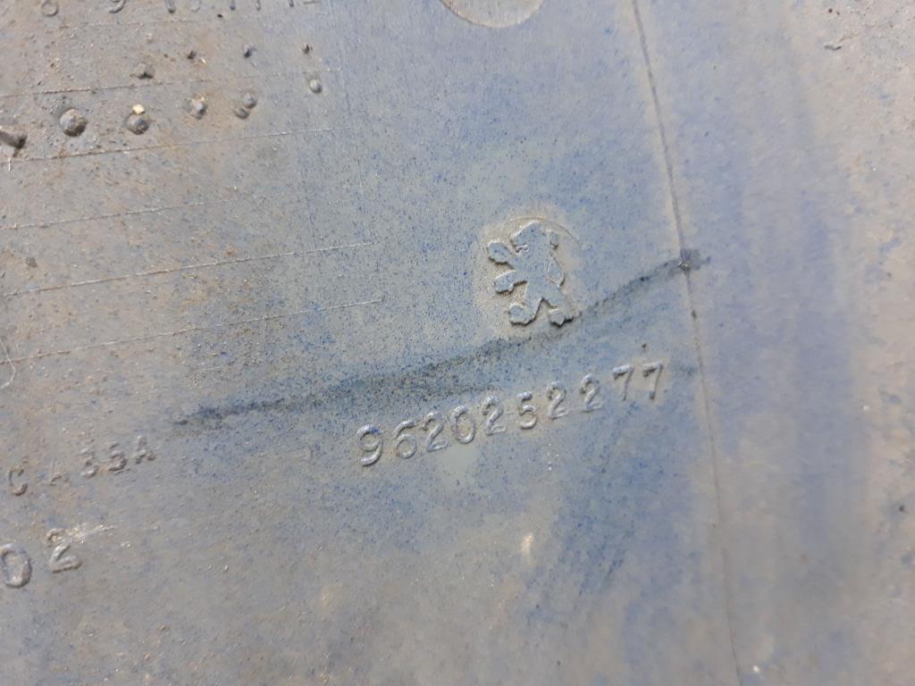 1005069551006_20200312081317.jpg