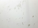 1005070511006_20200311160909.jpg