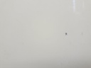 1005037791006_20200204142356.jpg